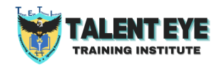 Talent Eye Training Institute